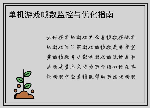单机游戏帧数监控与优化指南